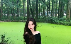 伊人大蕉久在线播放